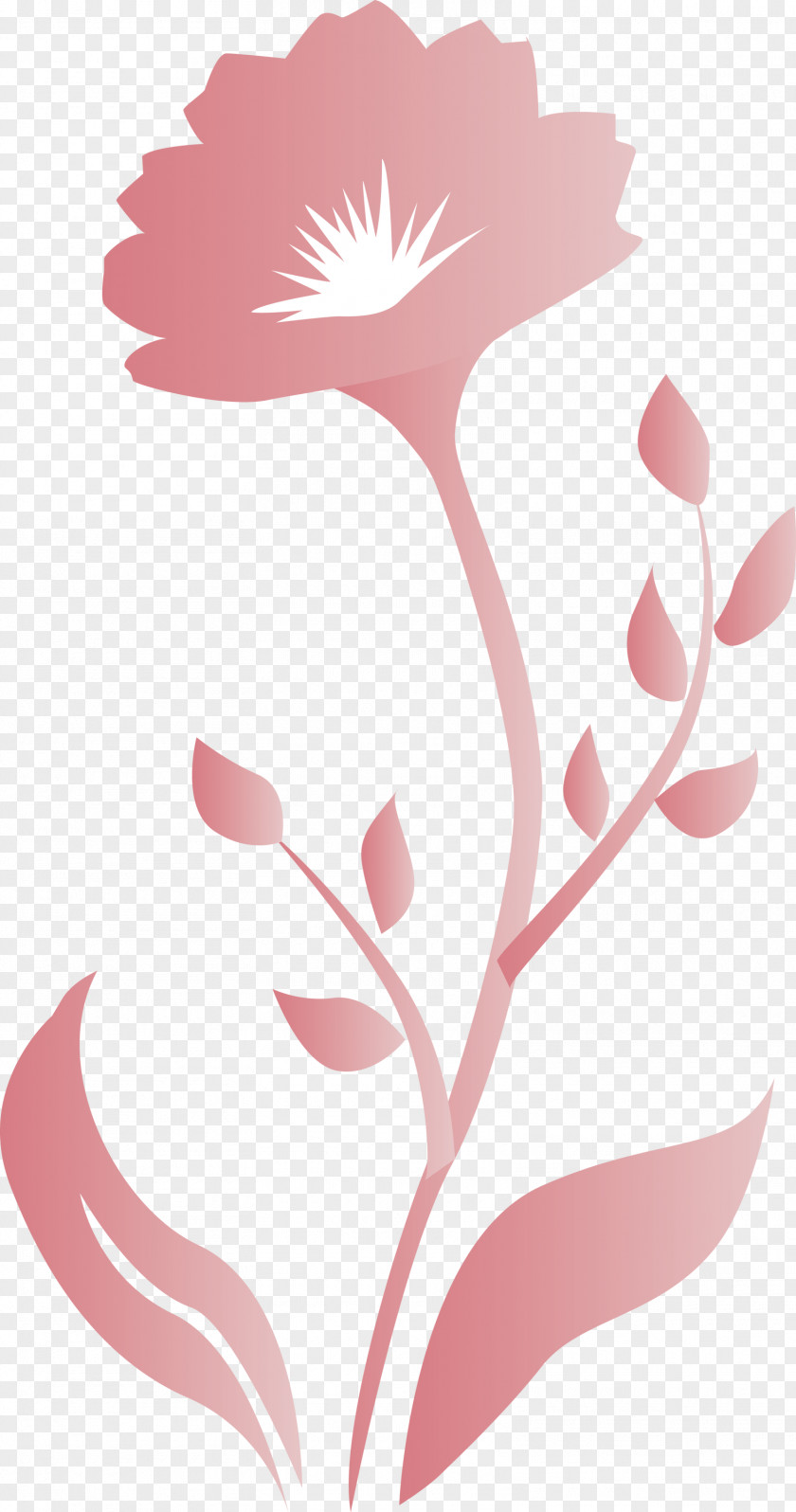 Spring Frame Decor PNG