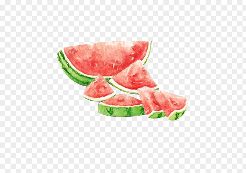 Watermelon Watercolor Painting Drawing Seedless Fruit PNG