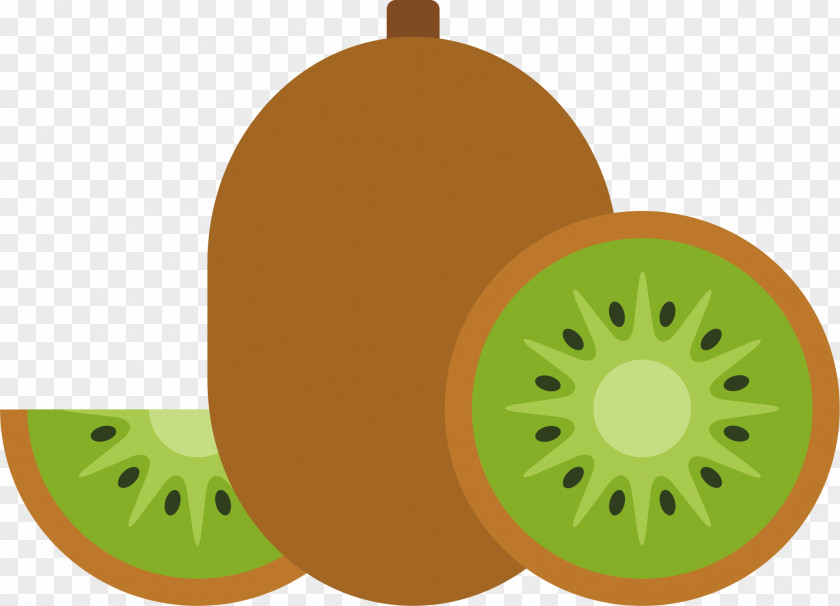 Kiwi Vector Kiwifruit Juice PNG