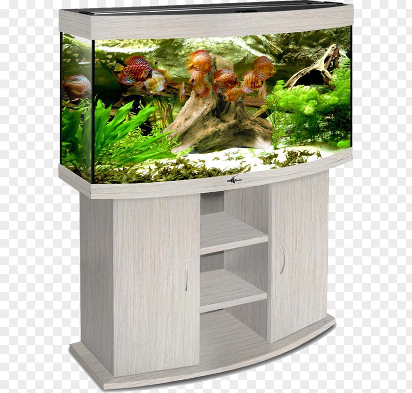 Rectangular Tank Aquarium Mosakvarium Kompaniya Biodizayn Terrarium Eheim PNG
