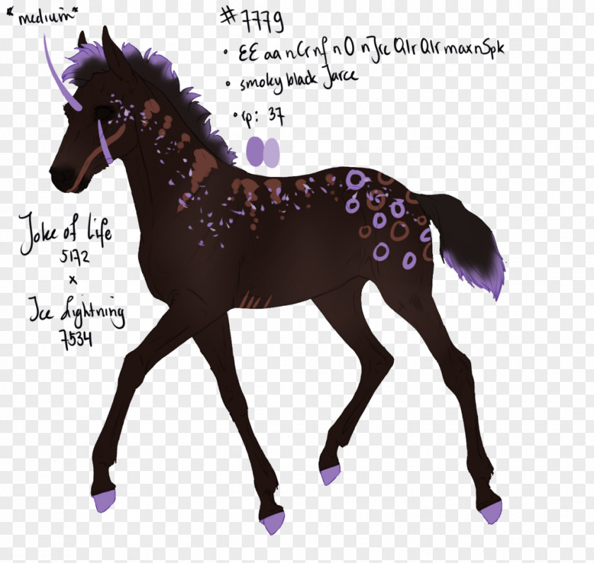 Victoria Z Rivers Australian Stock Horse American Paint Foal Vector Graphics Illustration PNG