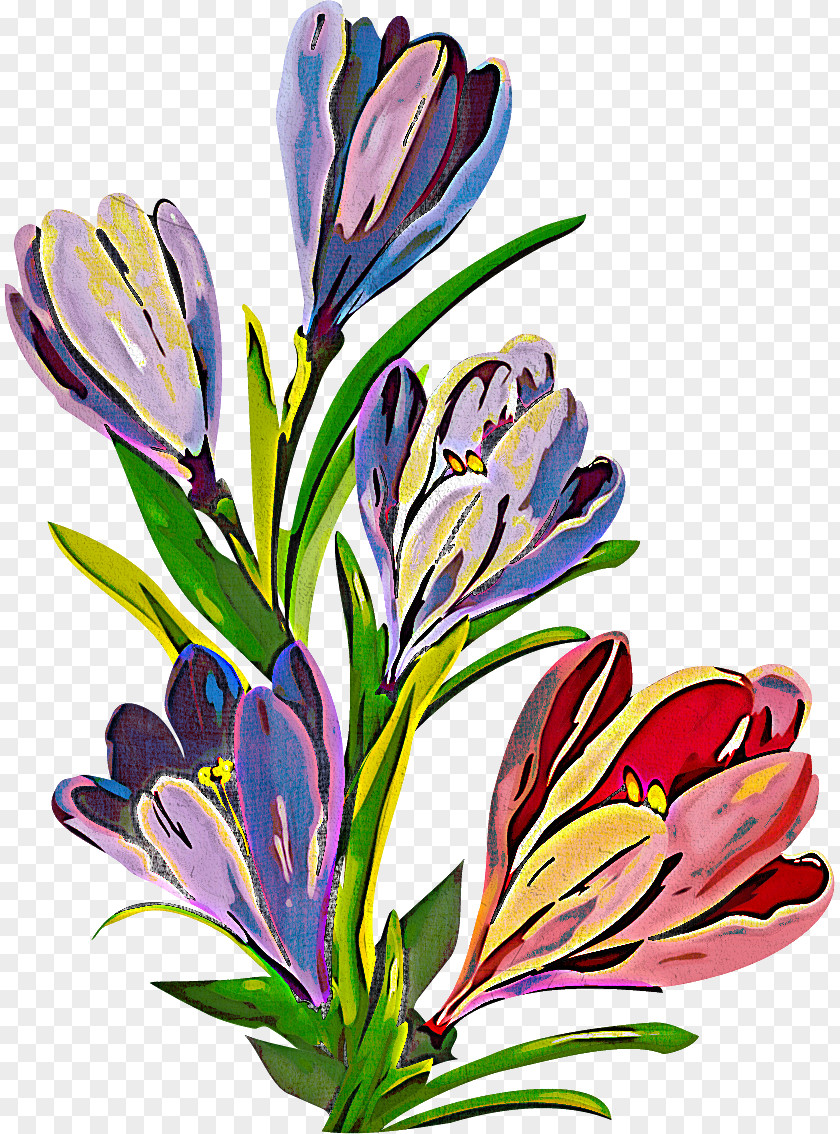 Flower Plant Crocus Petal PNG