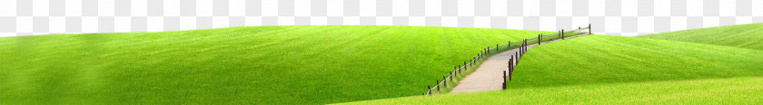 Grass Artificial Turf Meadow Lawn Energy PNG