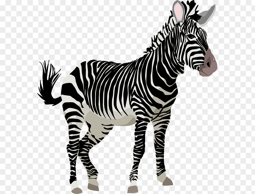 Hand-painted Zebra Free Content Cuteness Clip Art PNG