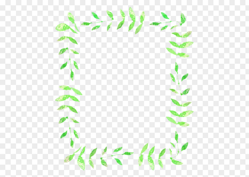 Rectangle Plant Green Leaf Background PNG