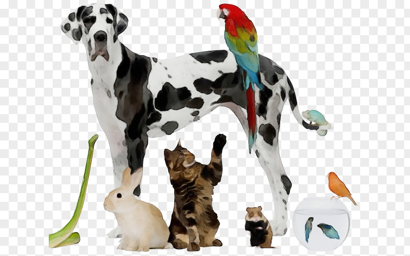 Toy Great Dane Animal Figure Dog Dalmatian PNG