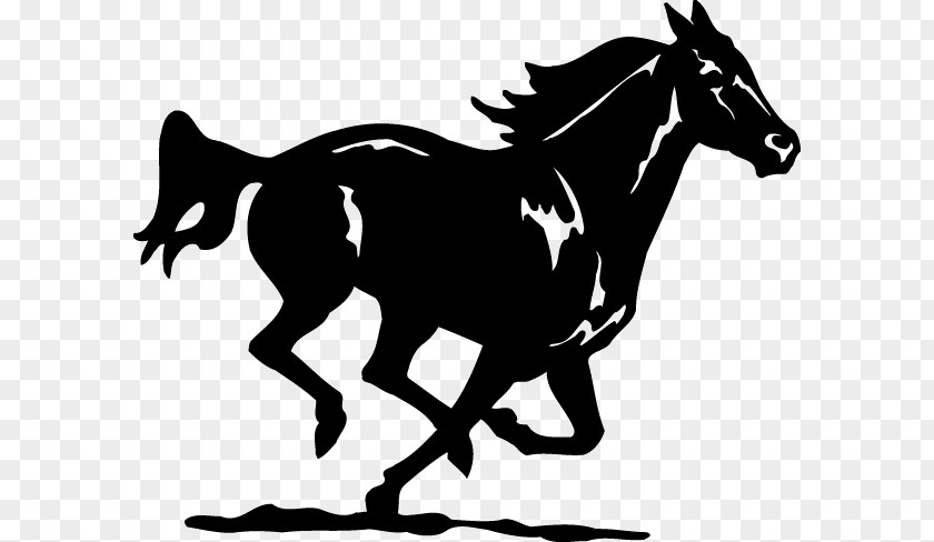 Design American Quarter Horse Clip Art PNG