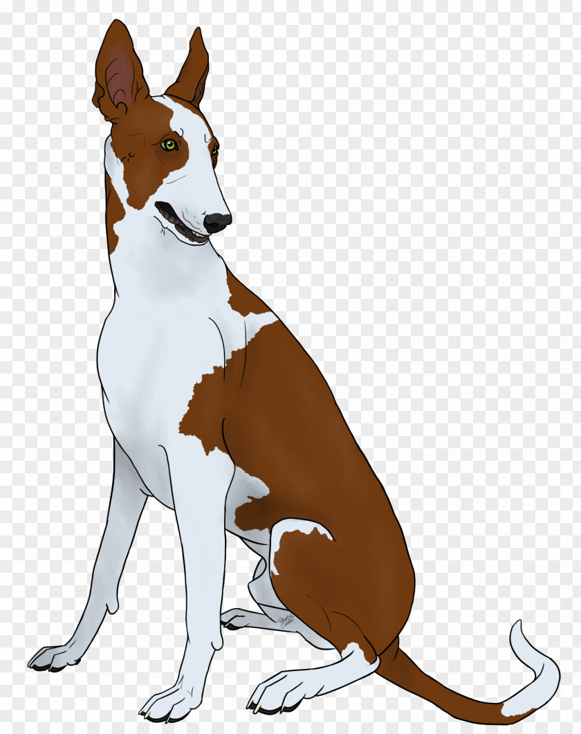 Dog Breed Basenji Ibizan Hound Macropodidae Leash PNG