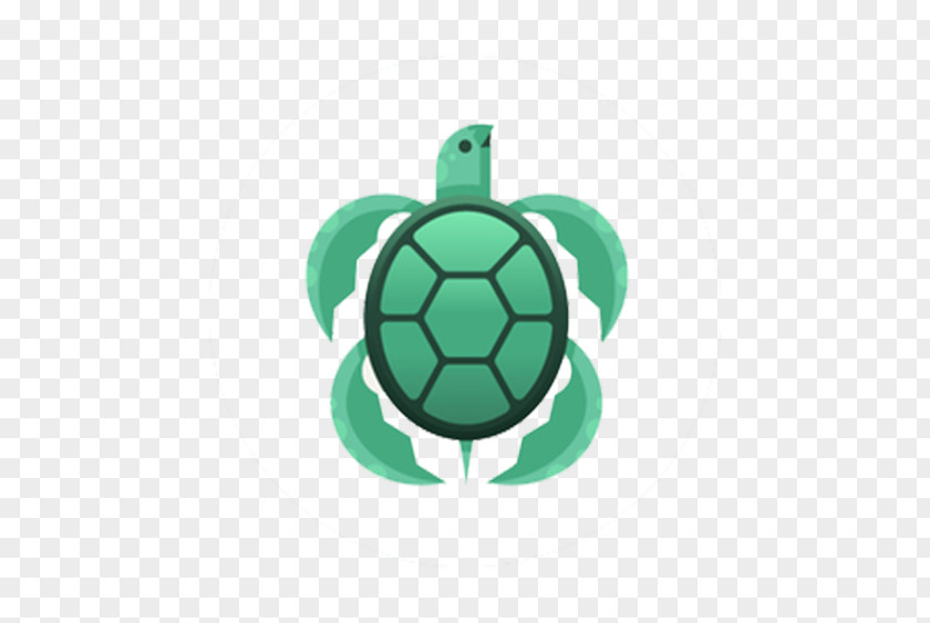 Green Turtle Logo PNG