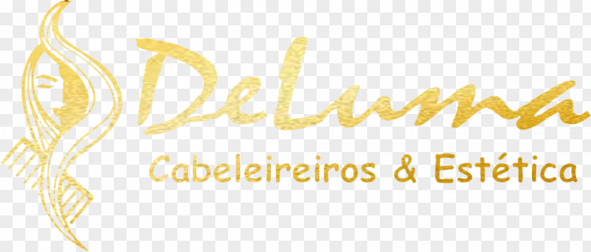 Salao De Beleza Logo Brand Line Commodity Font PNG