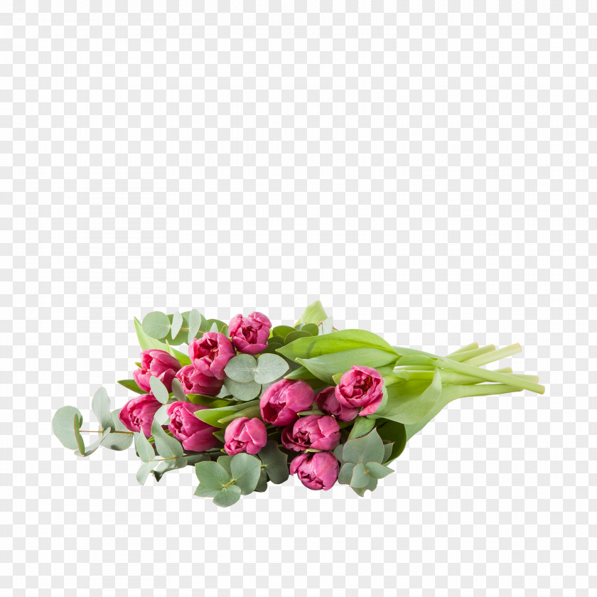Tulip Garden Roses Cut Flowers Flower Bouquet PNG