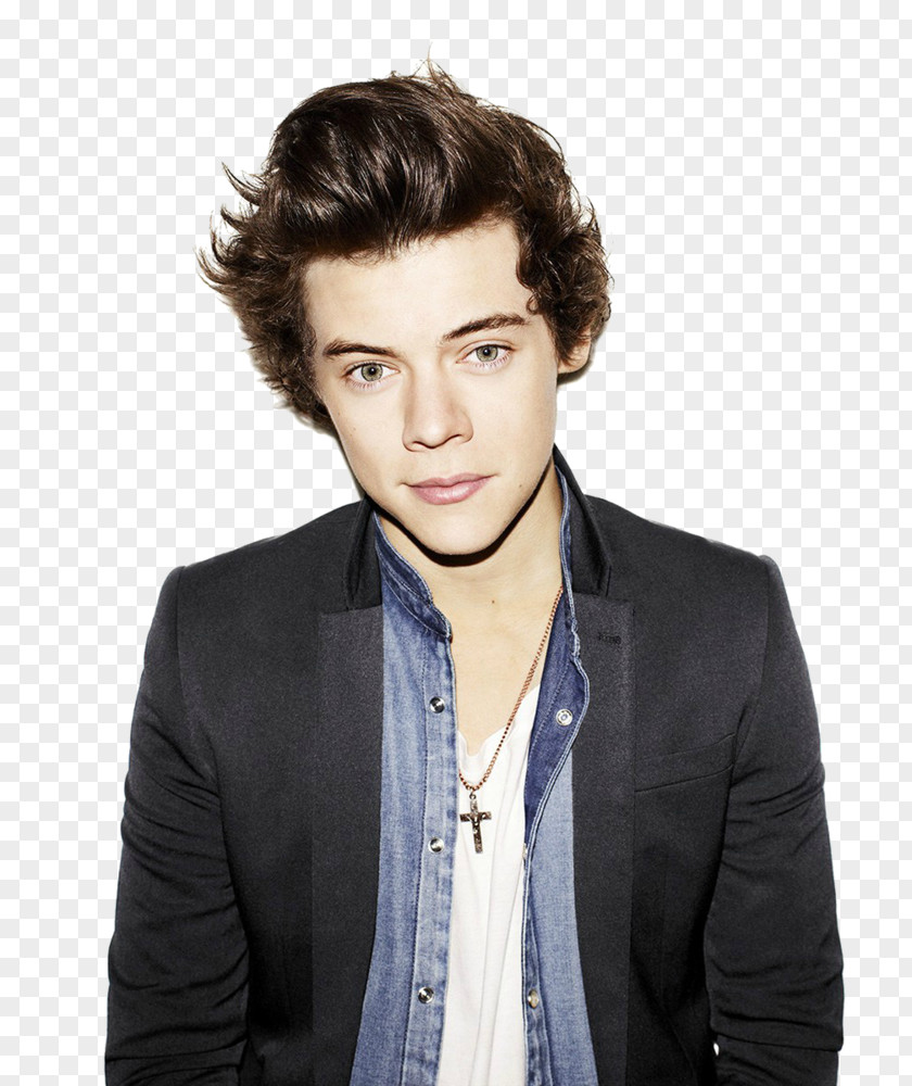 Direction Harry Styles The X Factor Photography PNG
