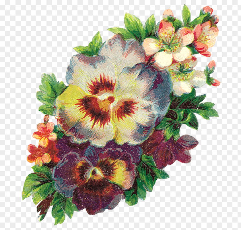Flower Pansy Photography Psd PNG
