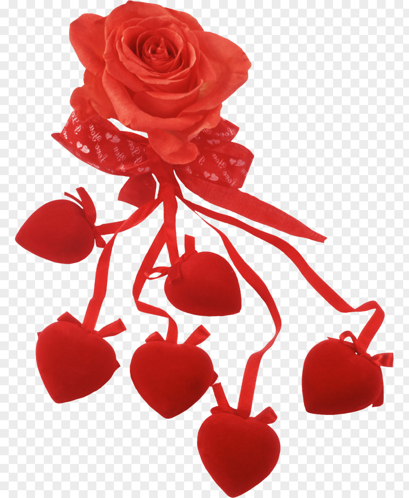 Lovely Picture Frames Heart Garden Roses PNG