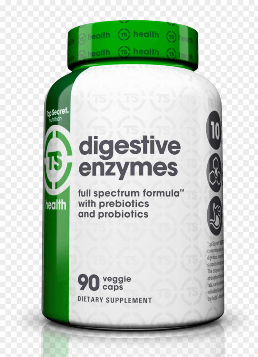 Digestive Enzyme Dietary Supplement Nutrient Prebiotic Digestion Probiotic PNG