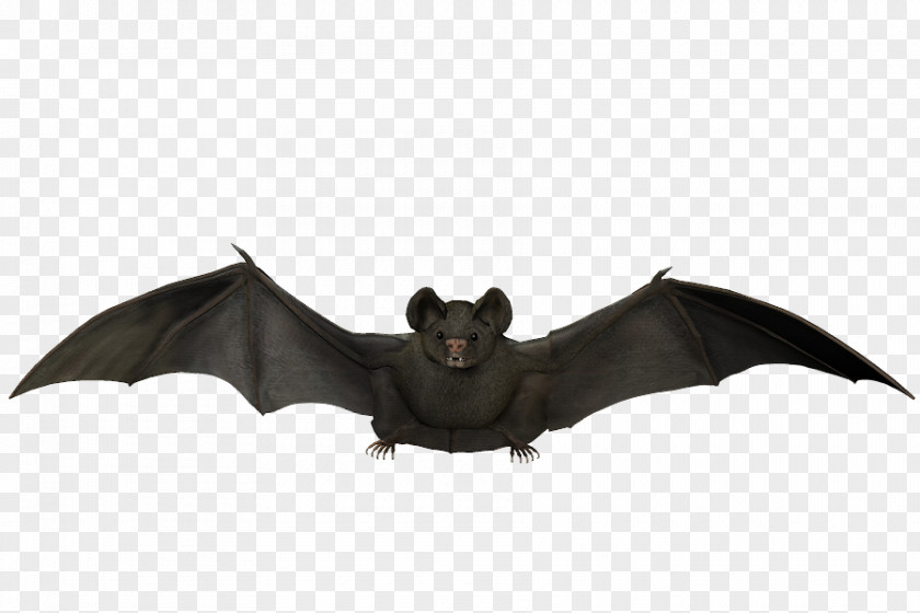 Flying Bat Batman Visual Arts Flight PNG
