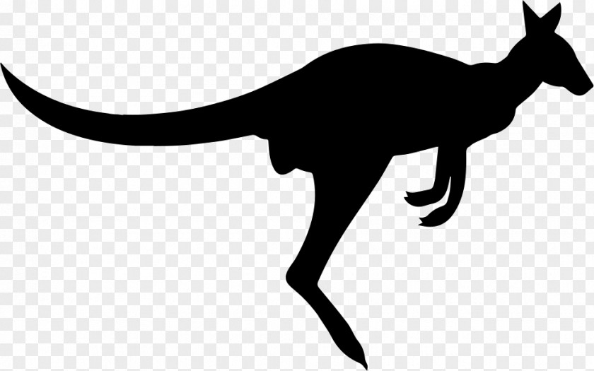 Fox Silhouette Mammal Clip Art Vector Graphics Kangaroo Illustration PNG