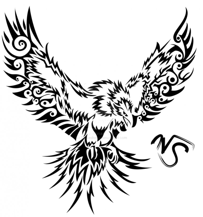 Phoenix Tattoo Art Drawing PNG