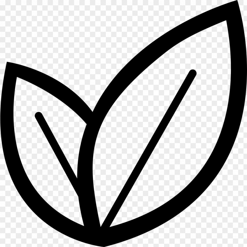 Plant Icon House Black And White Clip Art PNG
