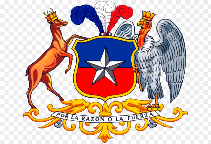 Symbol Coat Of Arms Chile National Flag PNG