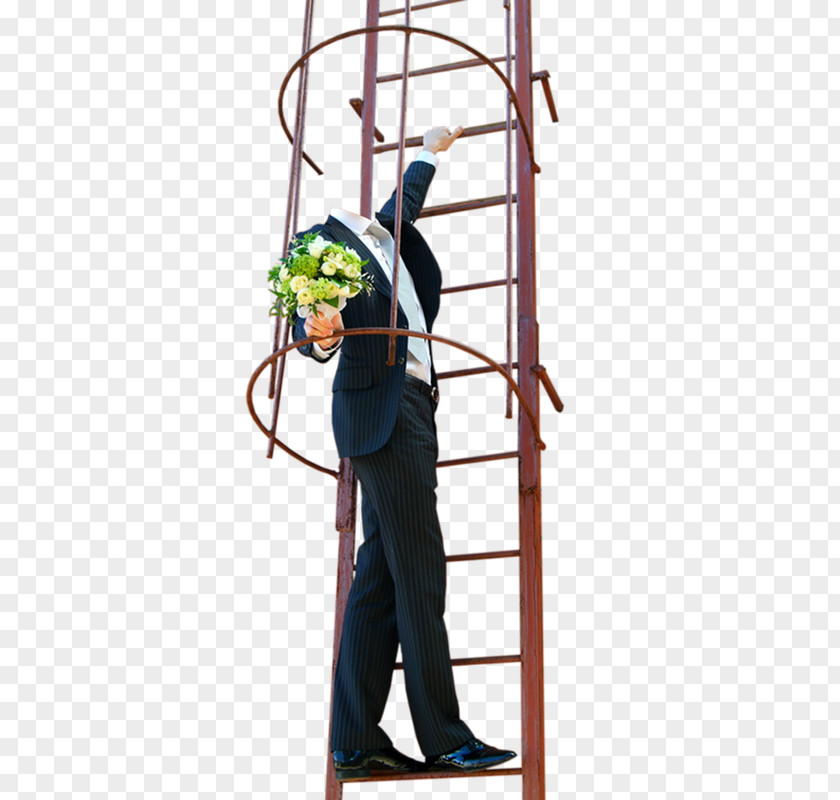 Alleycat Race Ladder Tree PNG