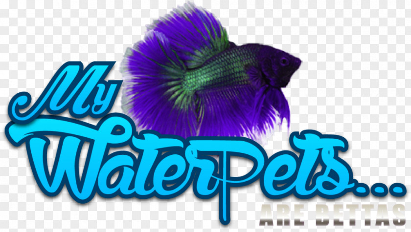 Betta Siamese Fighting Fish Female Logo Graphic Design Pet PNG