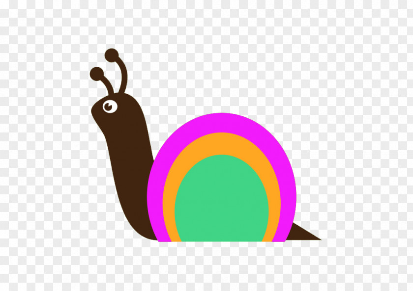 Color Snail Orthogastropoda Cartoon Clip Art PNG