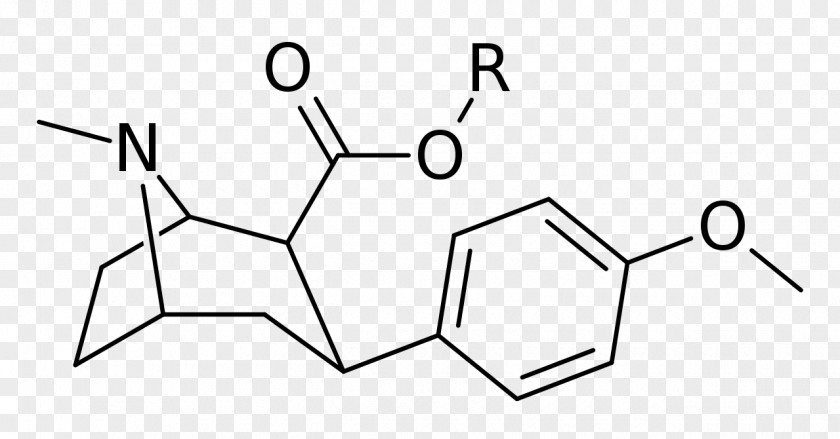 Dichloropane RTI-55 Phenyltropane RTI-31 Stimulant PNG