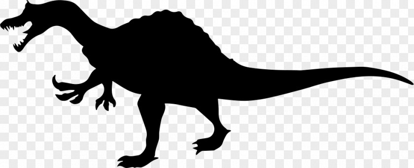 Dinosaur Bones Tyrannosaurus Albertosaurus Silhouette Iguanodon PNG
