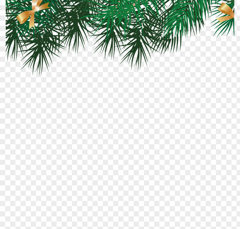 Leaves Borders And Frames Santa Claus Christmas Picture Frame PNG