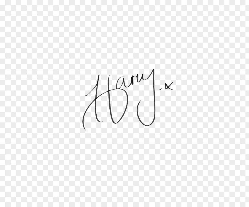 One Direction Autograph Fan Pin PNG