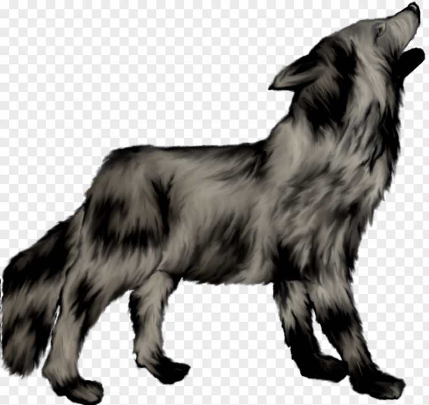 Painted Gray Wolf Dog Breed Canidae Mammal Carnivora PNG