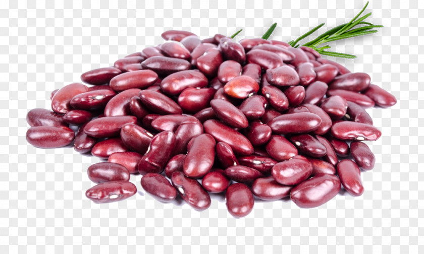 Pea Red Beans And Rice Protein Food Kidney Bean PNG