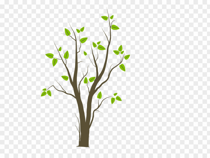 Tree Sticker Wall Decal Fruit Leaf PNG