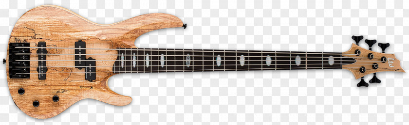 Bass Guitar Fender Precision ESP LTD B205SM Guitars PNG