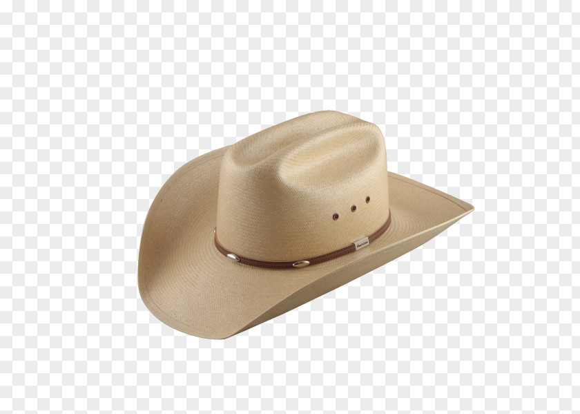 Cowboy Hat Stetson PNG