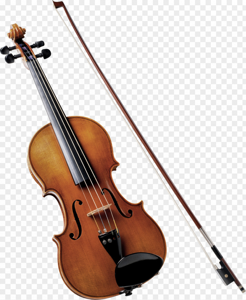 Flute Violin Musical Instruments String Quartet Orchestra PNG