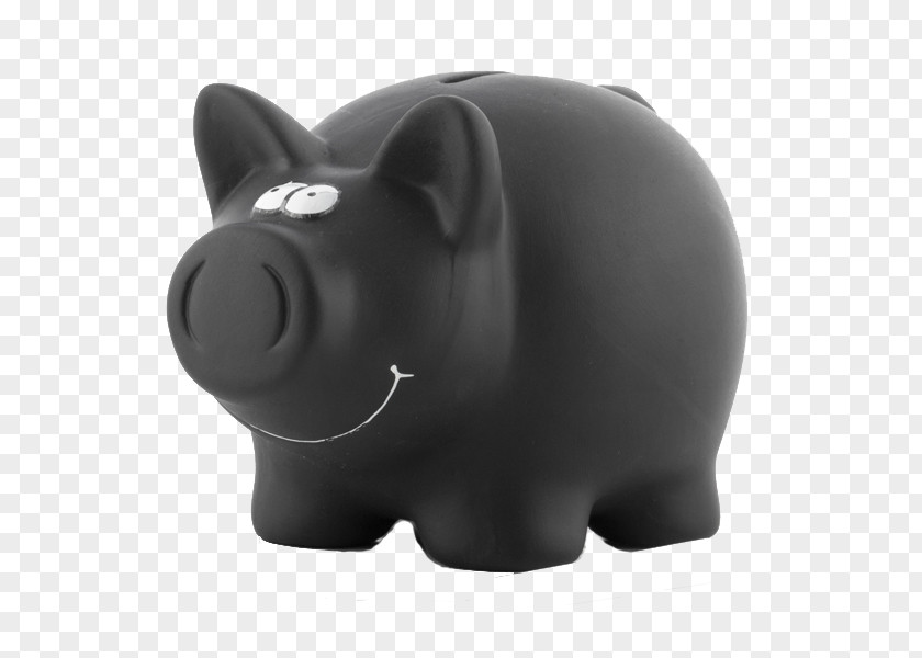 House Domestic Pig Piggy Bank Tirelire PNG