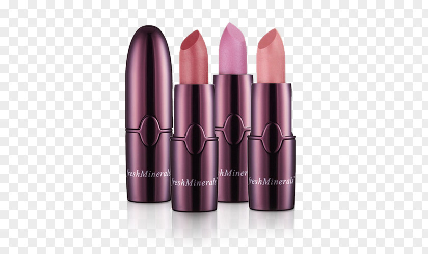 Lipstick Lip Gloss Rouge Cosmetics PNG