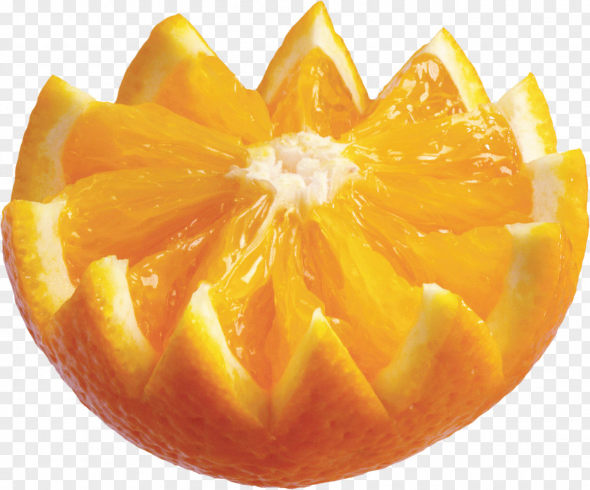 Orange Citrus Xd7 Sinensis Auglis Clip Art PNG