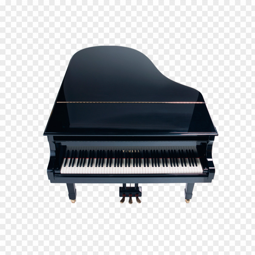 Piano Player Download Musical Instrument PNG