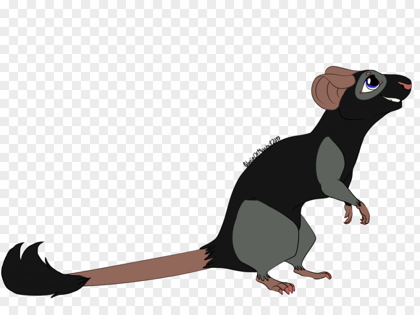 Rat & Mouse Rodent Cartoon Muroidea Mammal PNG