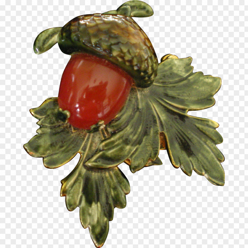 Acorn Squash Food Vegetable Fruit Tree PNG