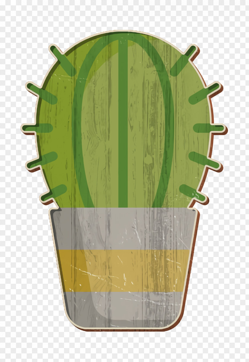 Cactus Icon House Plants PNG