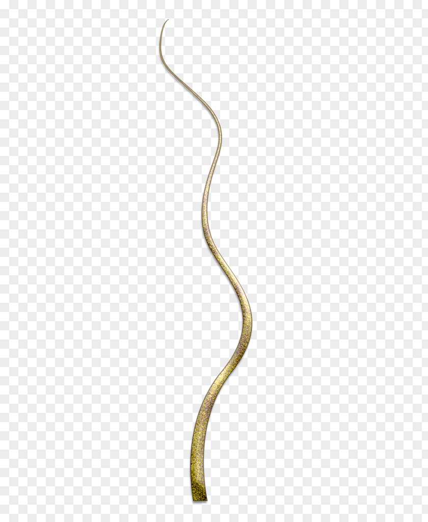 Jewellery Reptile Body PNG
