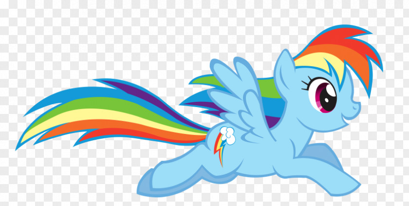 Little Pony Unicorn Rainbow Dash Pinkie Pie Twilight Sparkle Rarity PNG