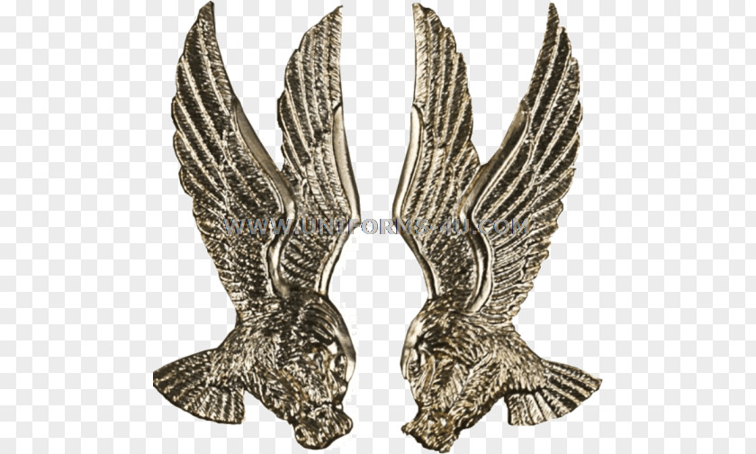 Military Aircraft Eagle Jewellery PNG