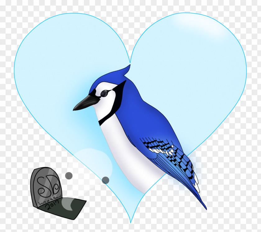 Starfish Story Donation Penguin Blue Jay Microsoft Azure PNG