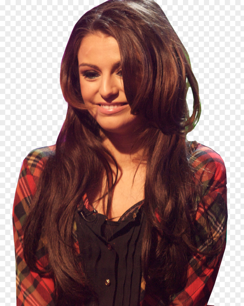 Chers Cher Lloyd The X Factor Feathered Hair Coloring Layered PNG