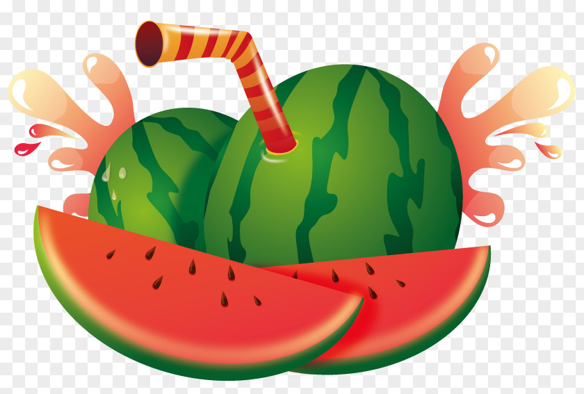 Creative Vector Watermelon Fruit Citrullus Lanatus Computer File PNG